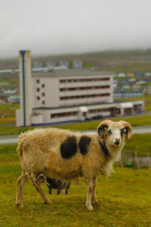 62N Guesthouse Marknagil Torshavn Exterior photo